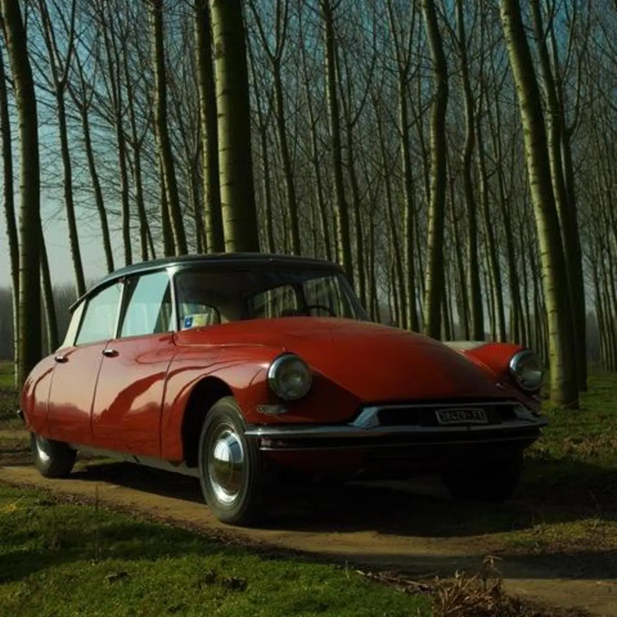 Confronto Heritage, PSA: Citroen DS Vs DS 5 (6)