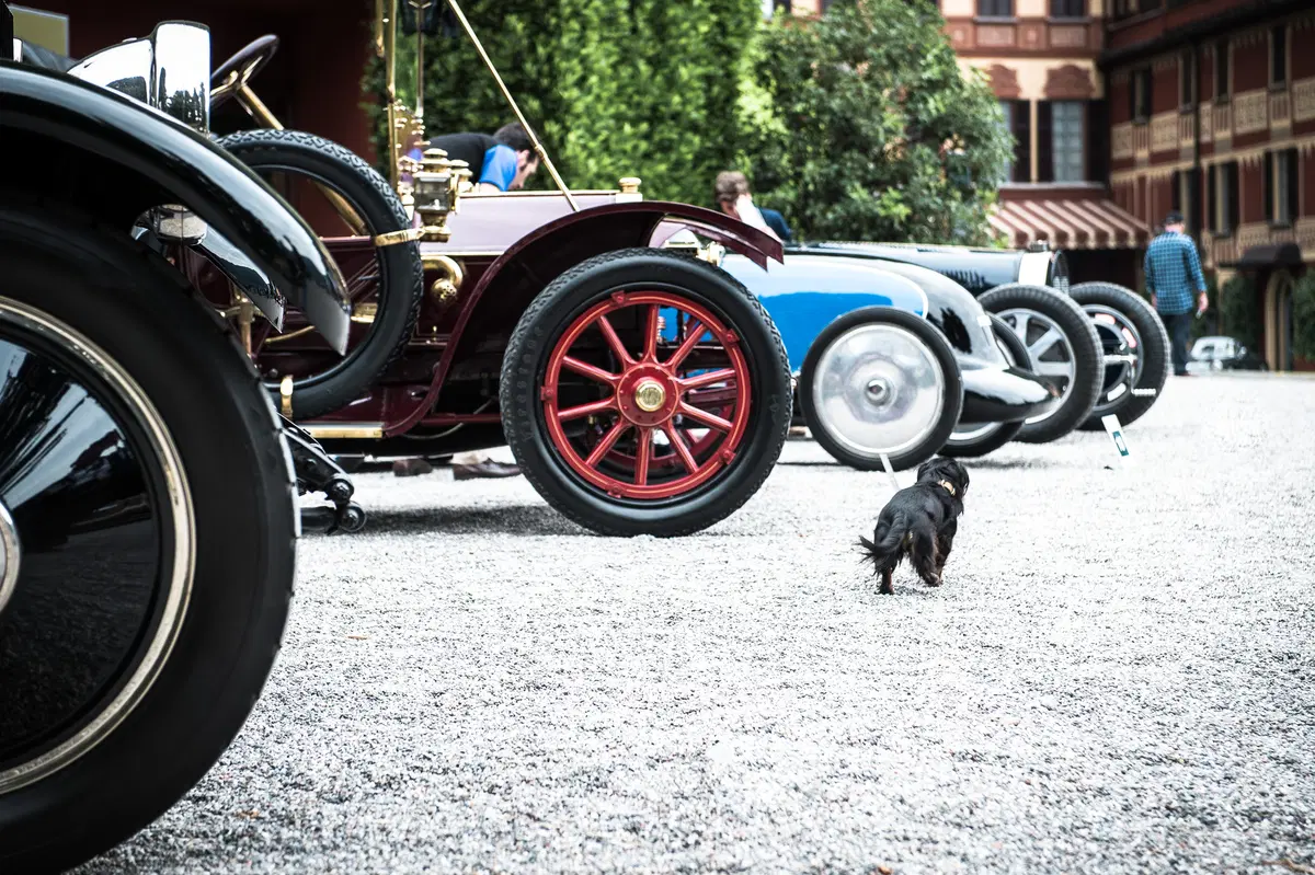 Concorso d'Eleganza Villa d'Este 2017, le foto più belle da Cernobbio (104)
