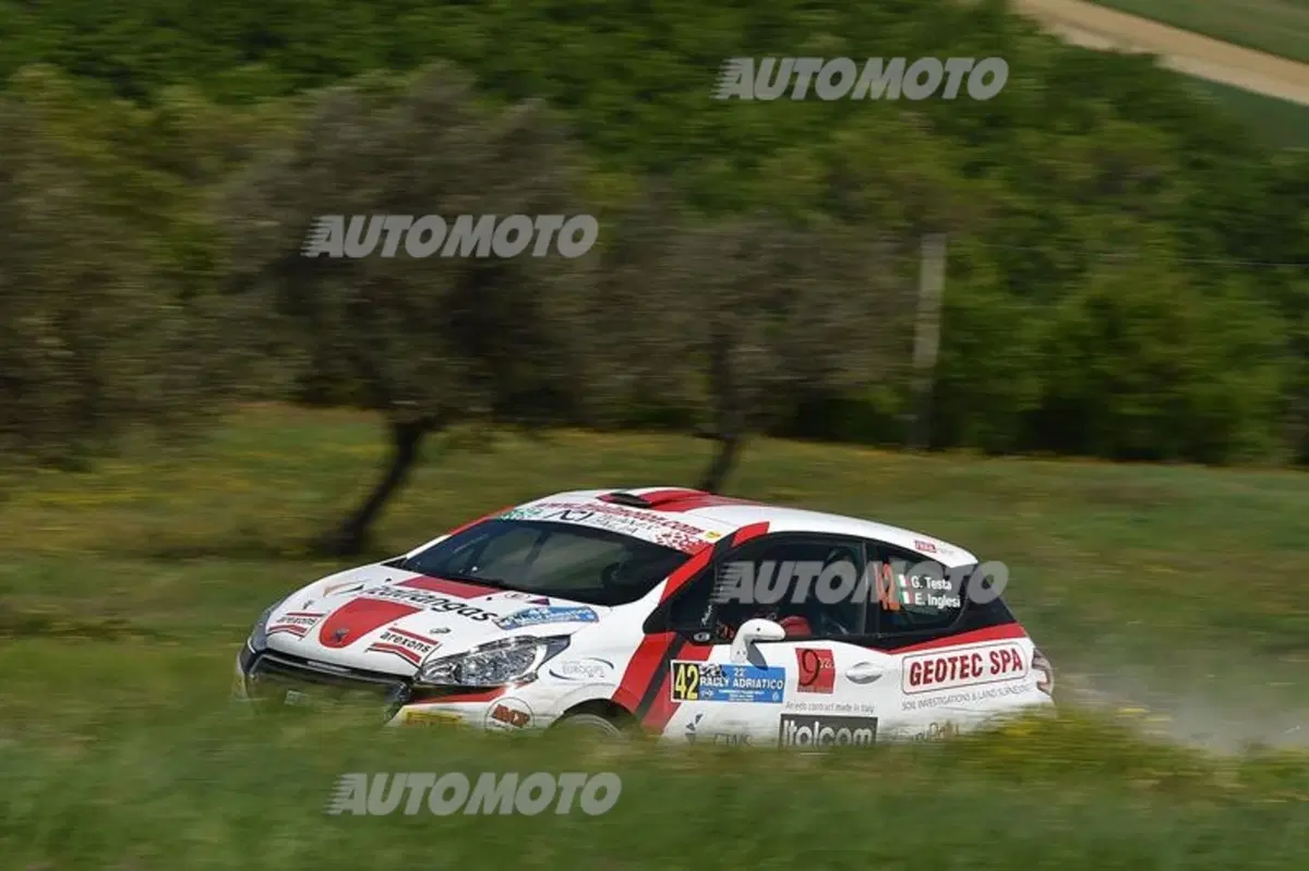 CIR 2015. Adriatico Day 1: in testa Scandola (Fabia S2000) (4)