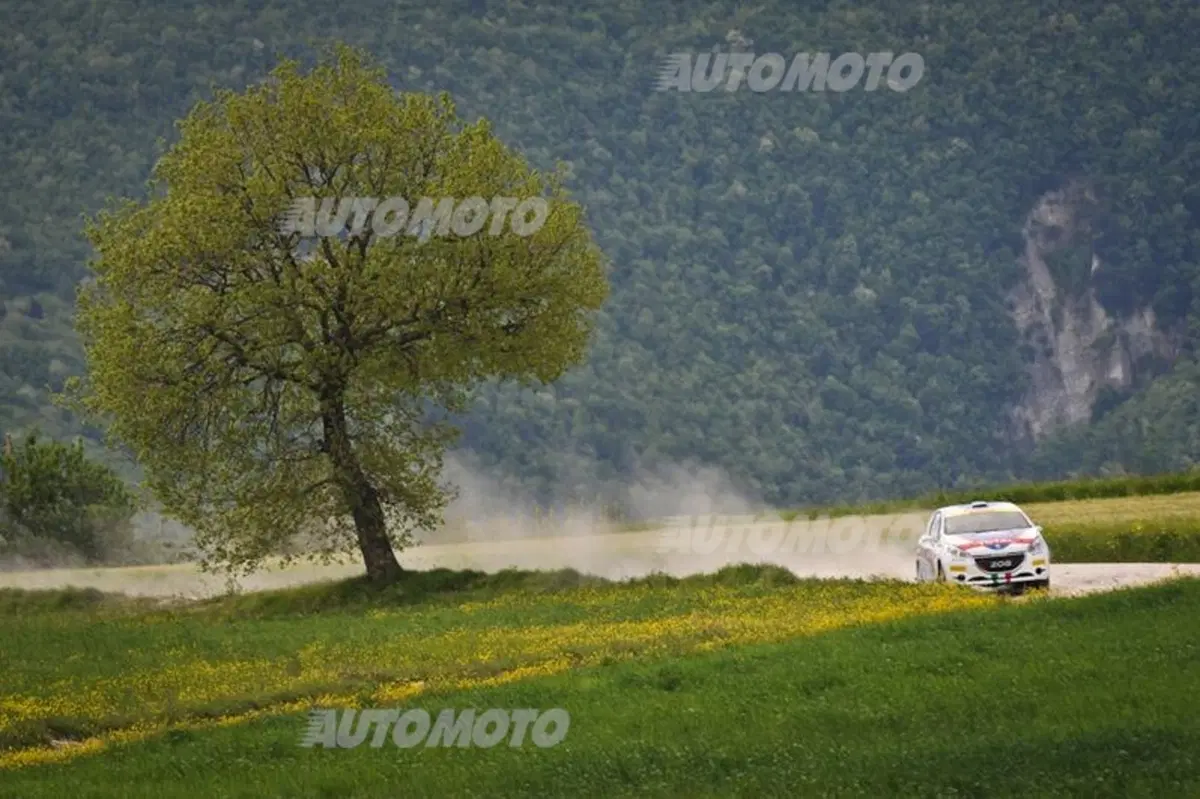 CIR 2015. Adriatico Day 1: in testa Scandola (Fabia S2000) (11)