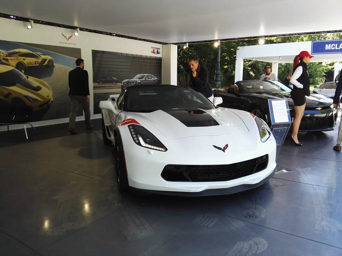 Salone Auto di Torino 2017. Tutto quello che c'è da vedere (16)