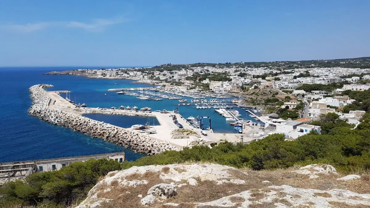 Cos'è lo Jinba Ittai? Scopriamolo a bordo di Mazda CX-5 (3)
