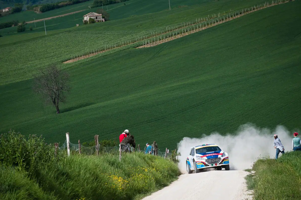 WRC Italia Sardegna. 208T16-Live. Andreucci: «Tutto diverso! Tutto bellissimo!» (3)