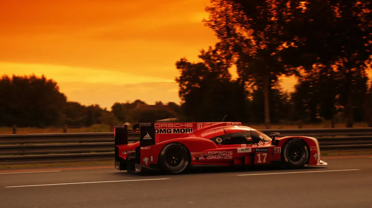 24 Ore di Le Mans 2015: ecco come sono andate le cose (31)