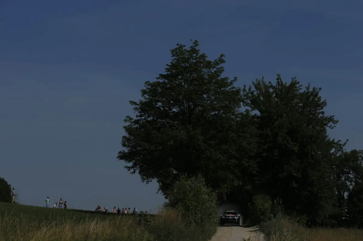 WRC Polonia. Ogier e VW stellari, Mikkelsen e Tanak sul podio! (14)