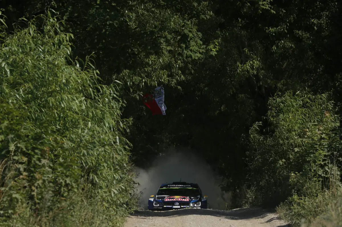 WRC Polonia. Ogier e VW stellari, Mikkelsen e Tanak sul podio! (15)