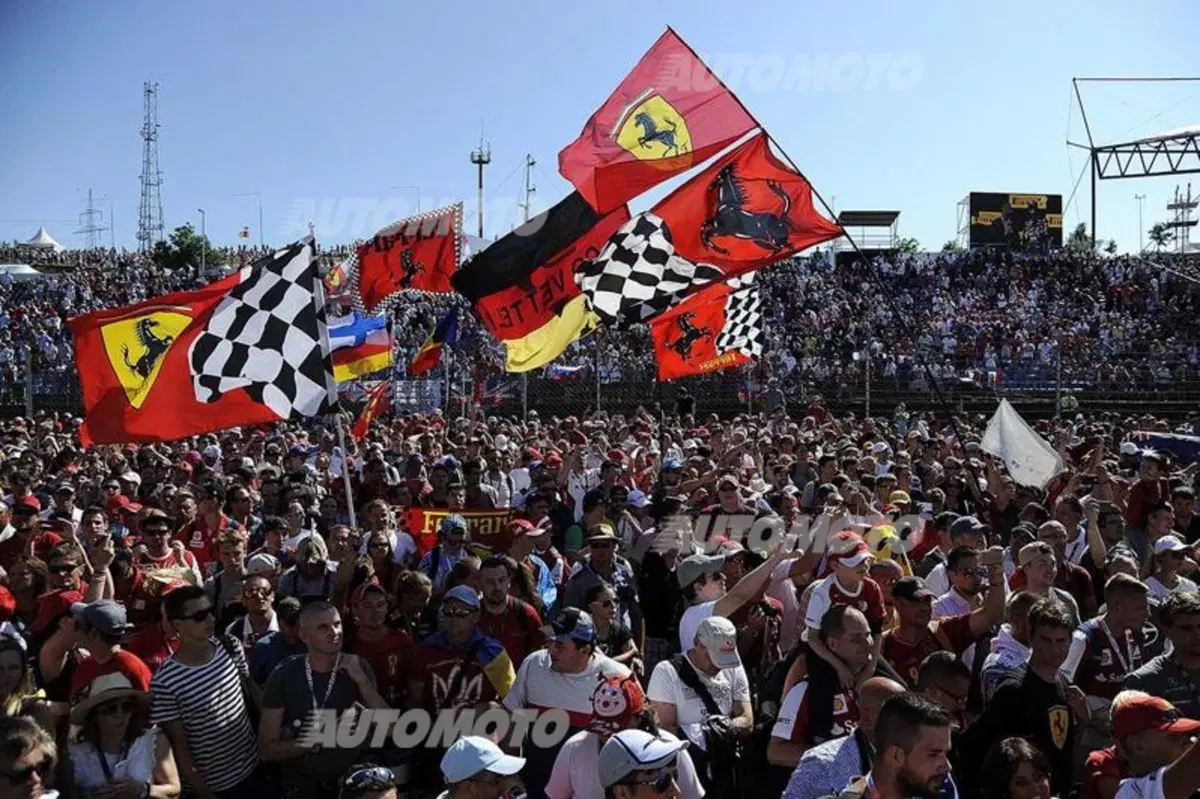 F1, GP Ungheria 2015: le pagelle di Budapest (19)