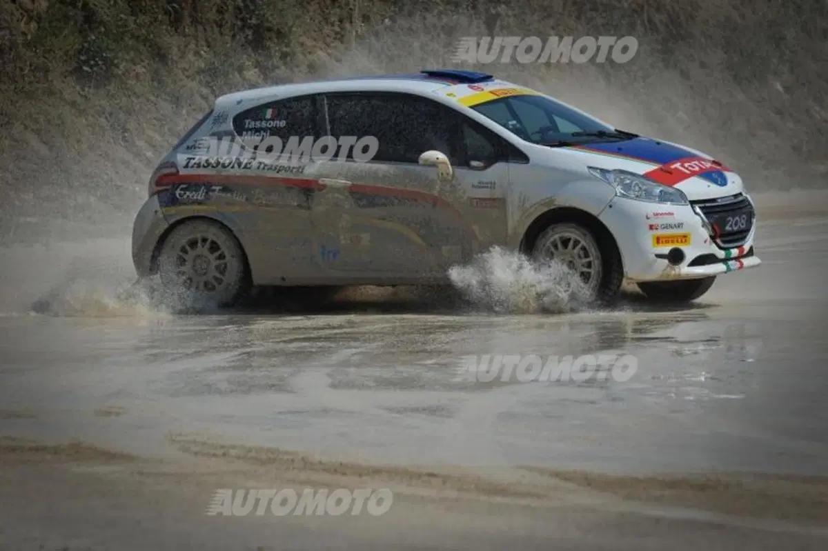 Peugeot 208 R5 ed R2 (18)