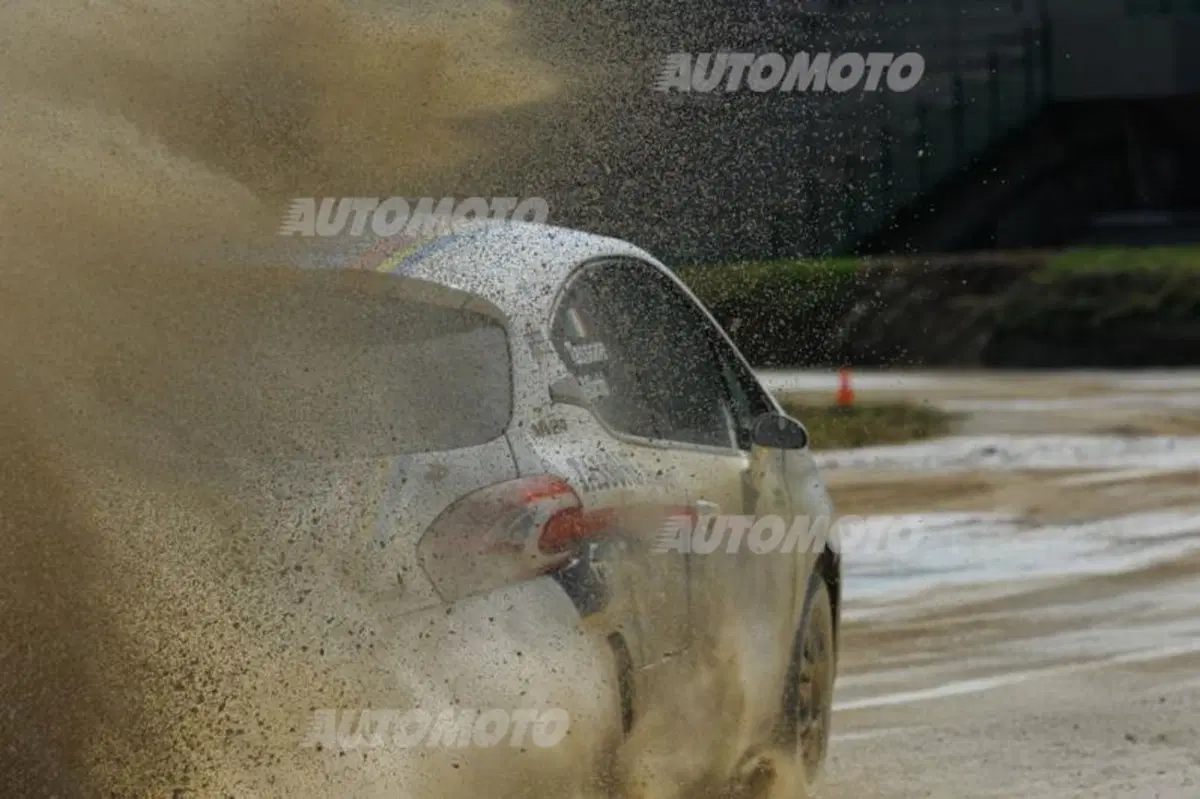 Peugeot 208 R5 ed R2 (19)