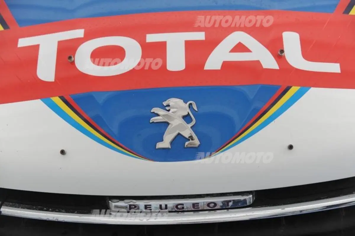 Peugeot 208 R5 ed R2 (32)