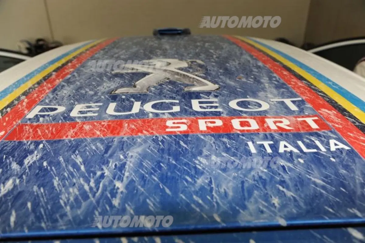 Peugeot 208 R5 ed R2 (57)