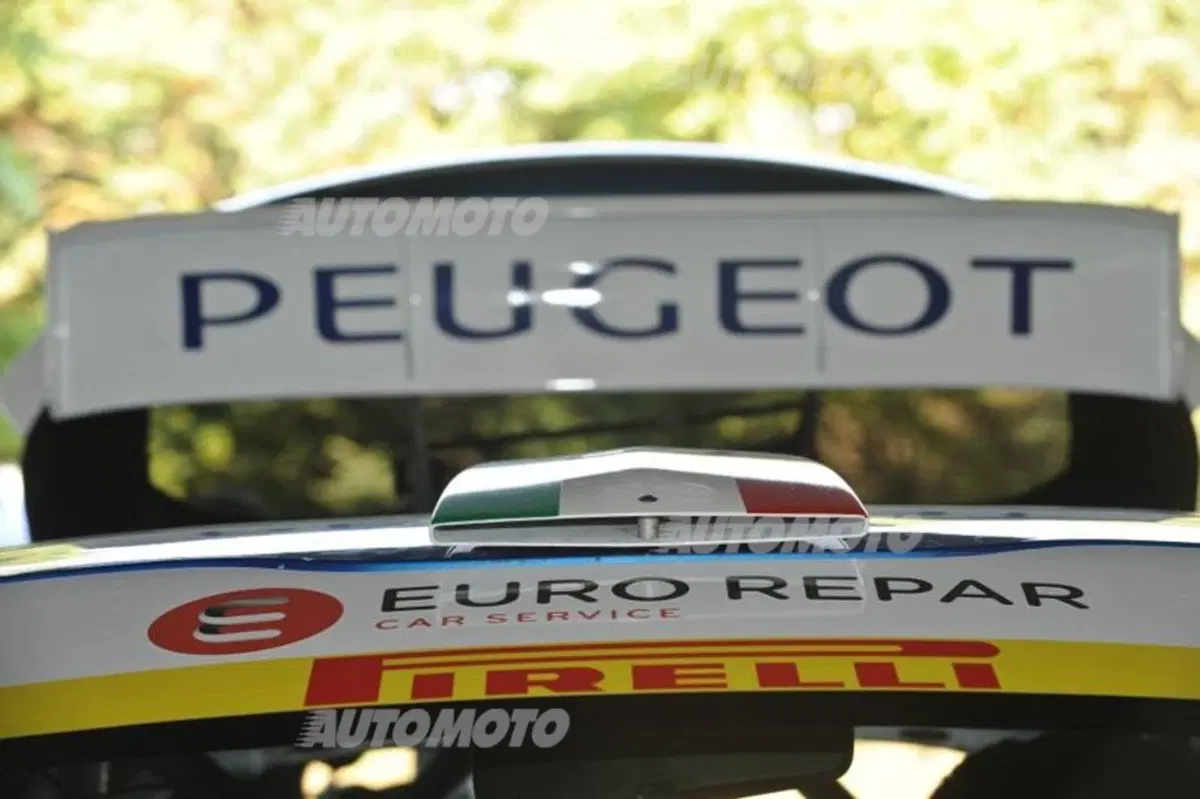 Peugeot 208 R5 ed R2 (60)