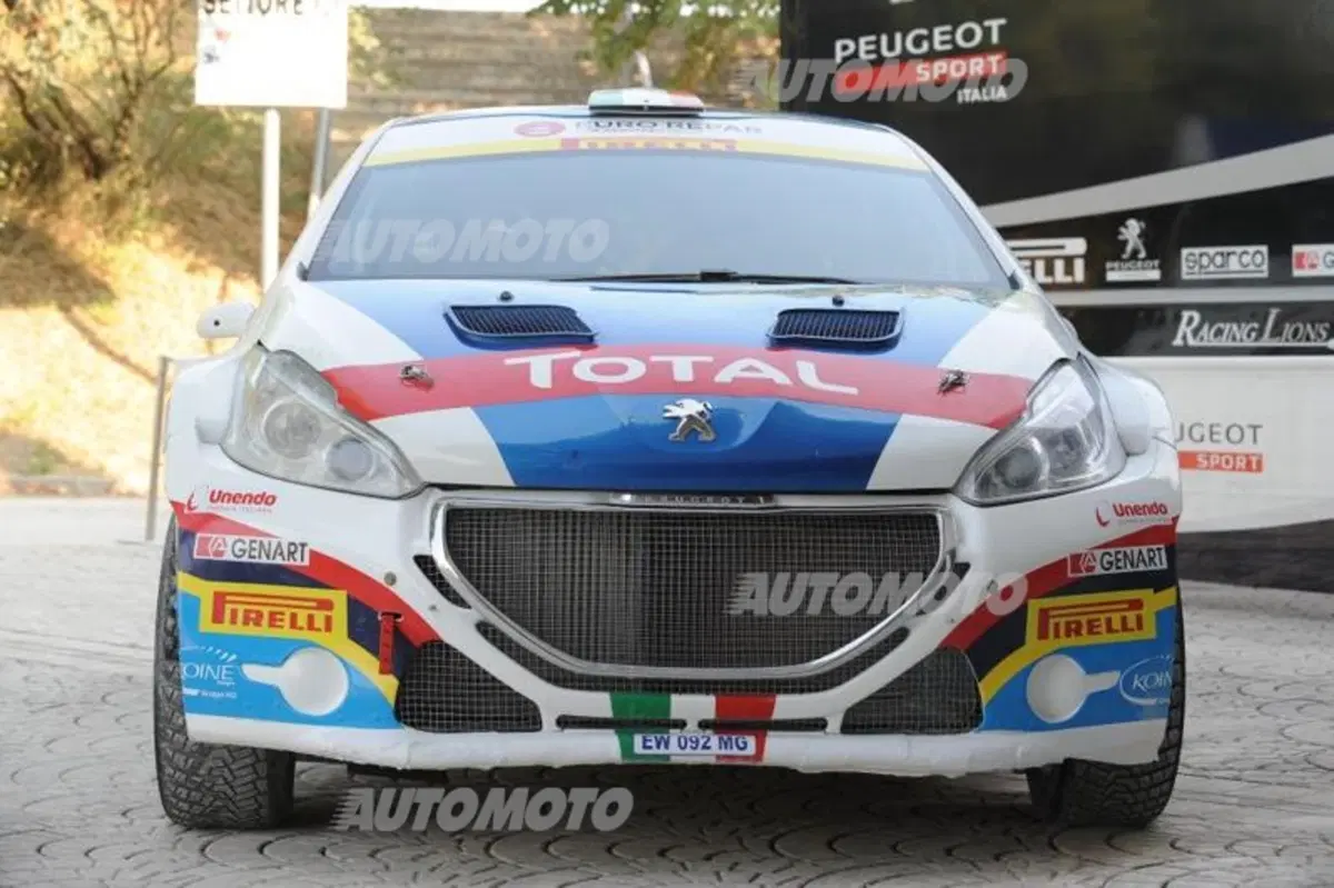 Peugeot 208 R5 ed R2 (65)