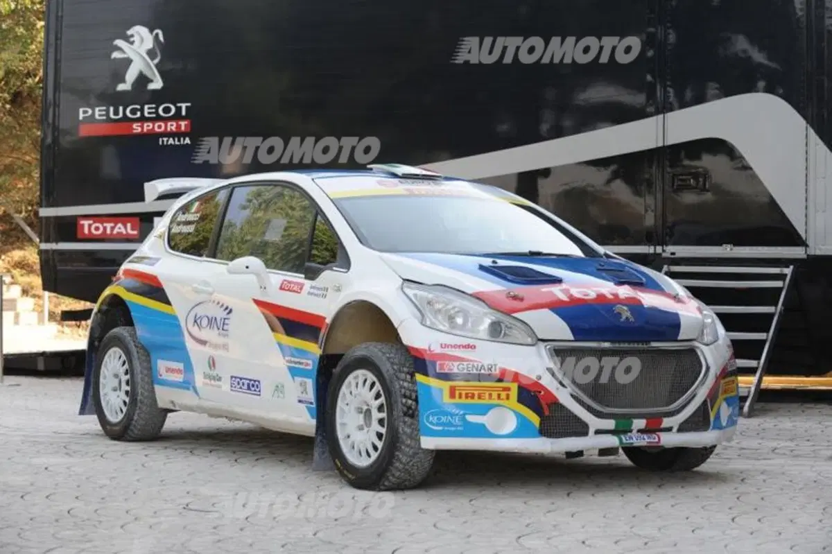Peugeot 208 R5 ed R2 (66)