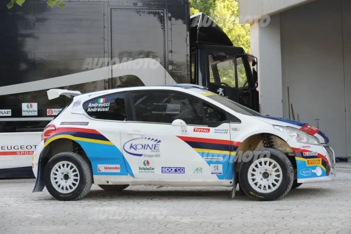 Peugeot 208 R5 ed R2 (67)