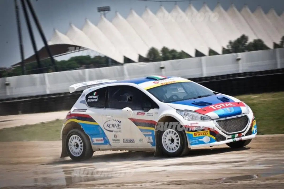 Peugeot 208 R5 ed R2 (69)