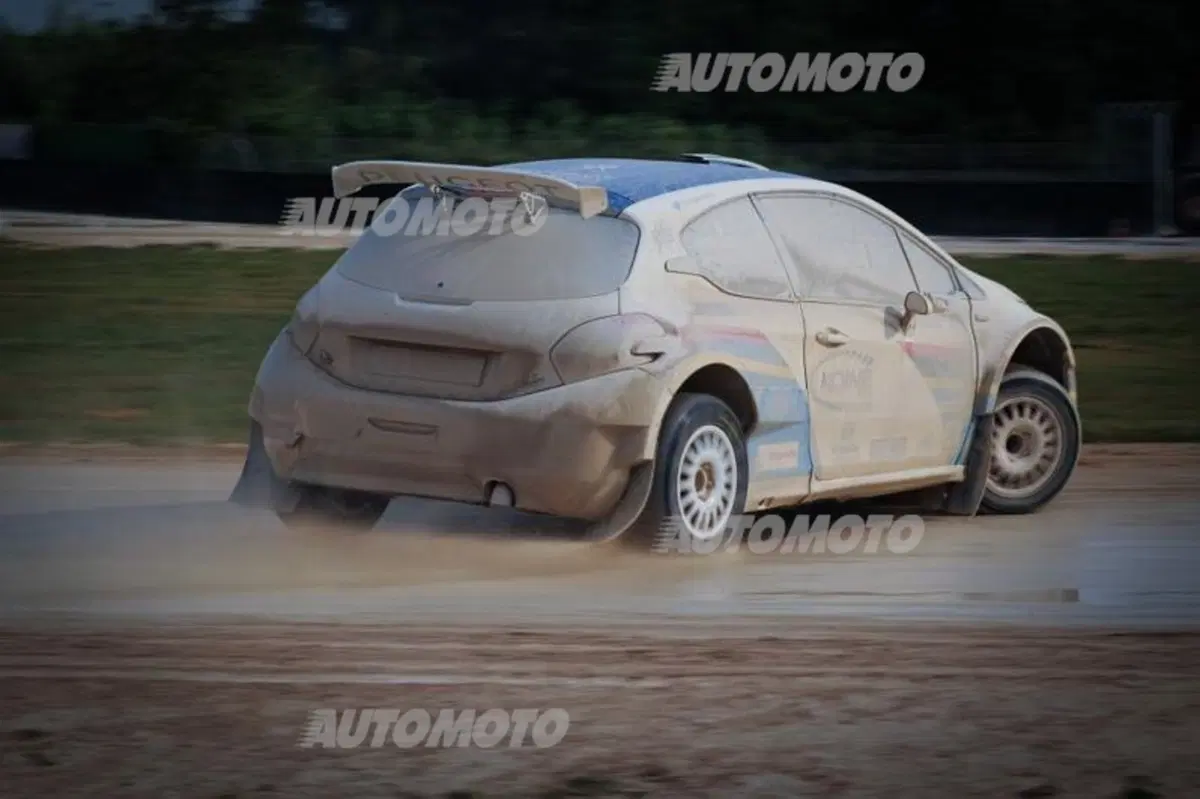 Peugeot 208 R5 ed R2 (82)