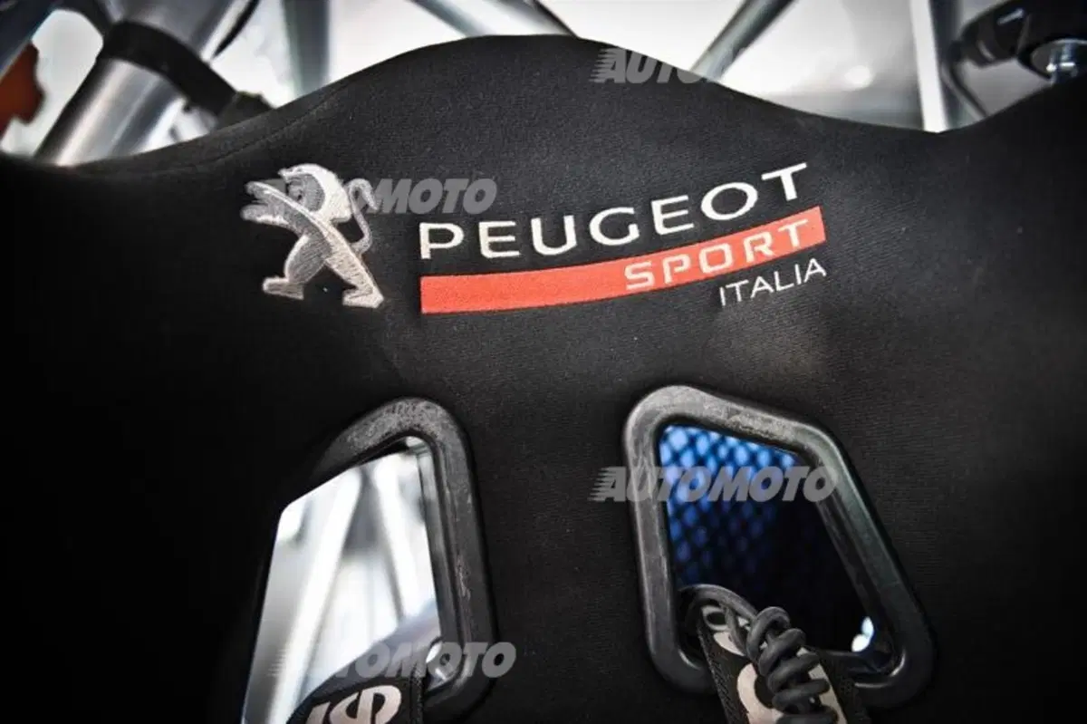 Peugeot 208 R5 ed R2 (85)