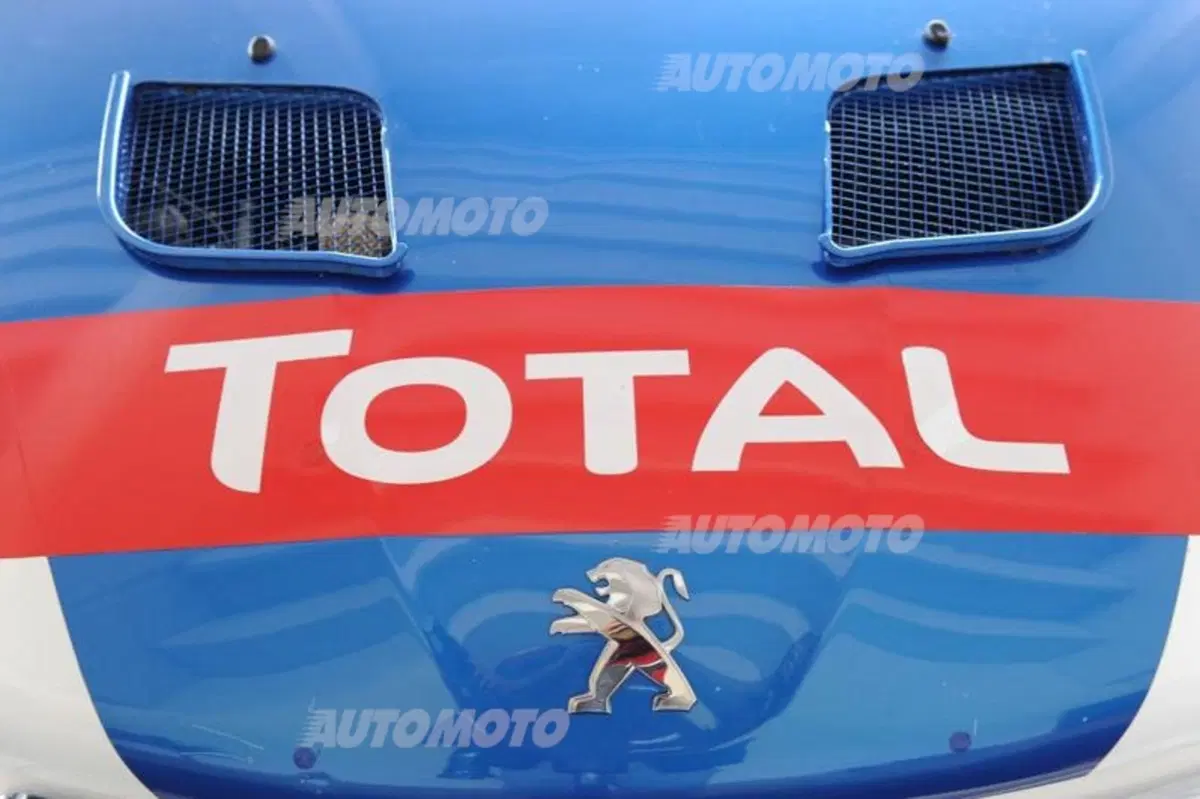 Peugeot 208 R5 ed R2 (88)
