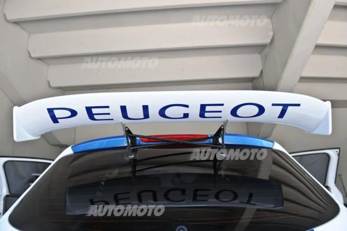 Peugeot 208 R5 ed R2 (99)