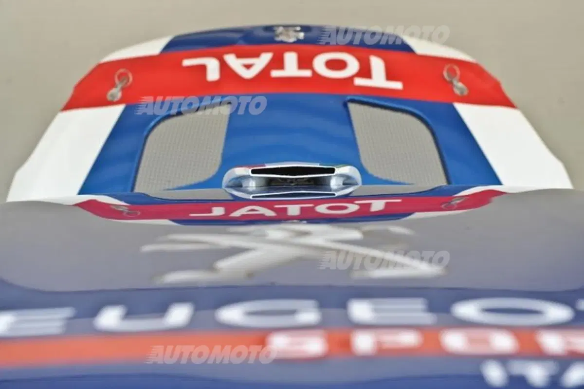 Peugeot 208 R5 ed R2 (102)