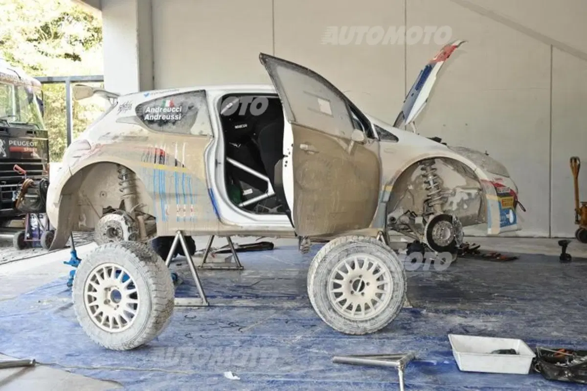 Peugeot 208 R5 ed R2 (106)