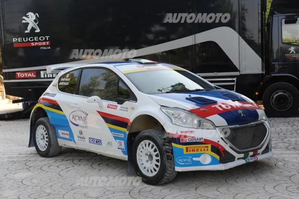Peugeot 208 R5 ed R2 (110)