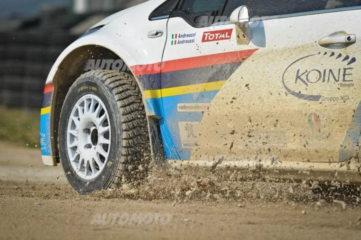 Peugeot 208 R5 ed R2 (113)