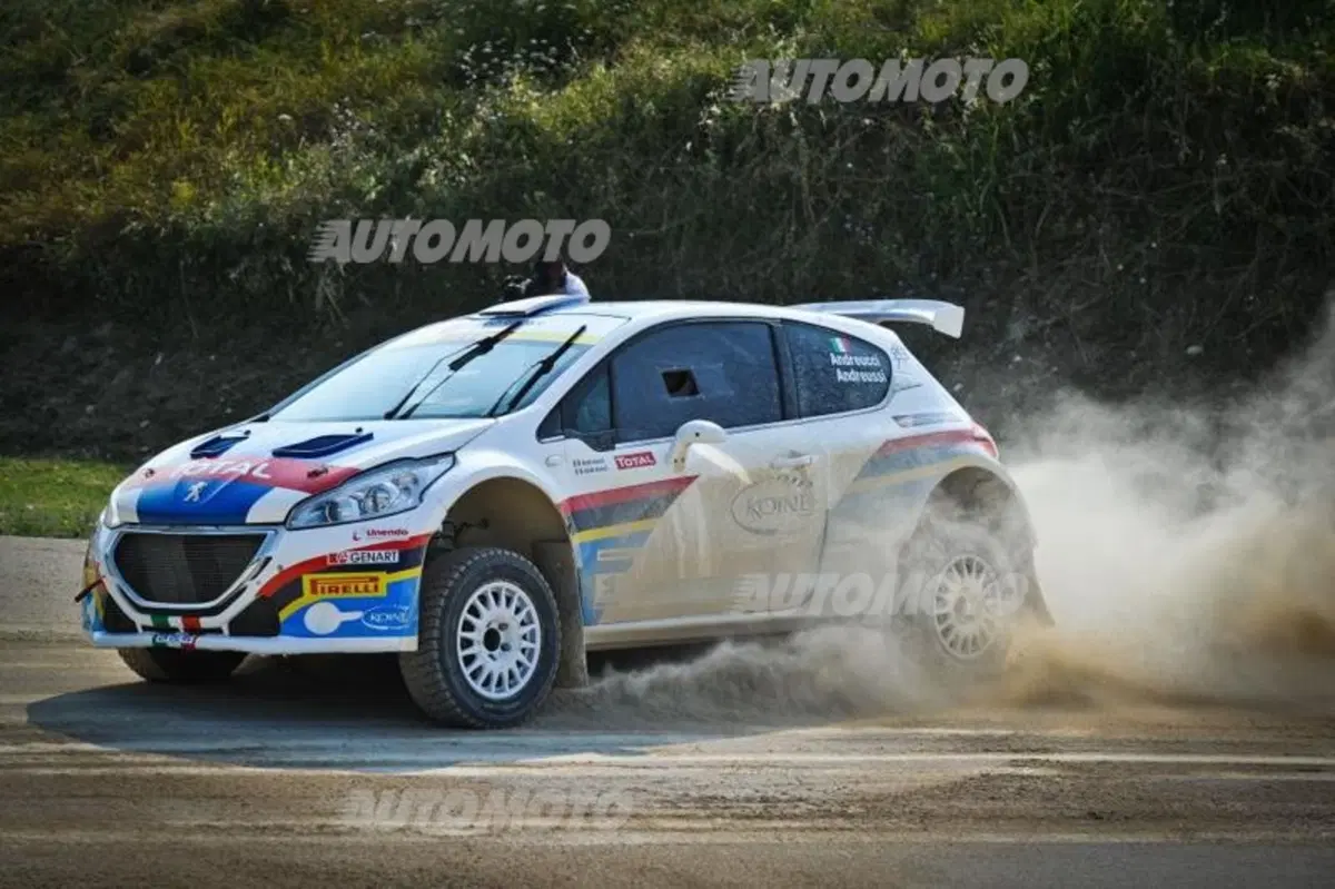 Peugeot 208 R5 ed R2 (114)
