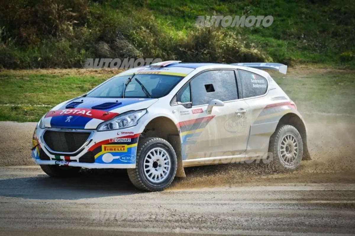 Peugeot 208 R5 ed R2 (115)
