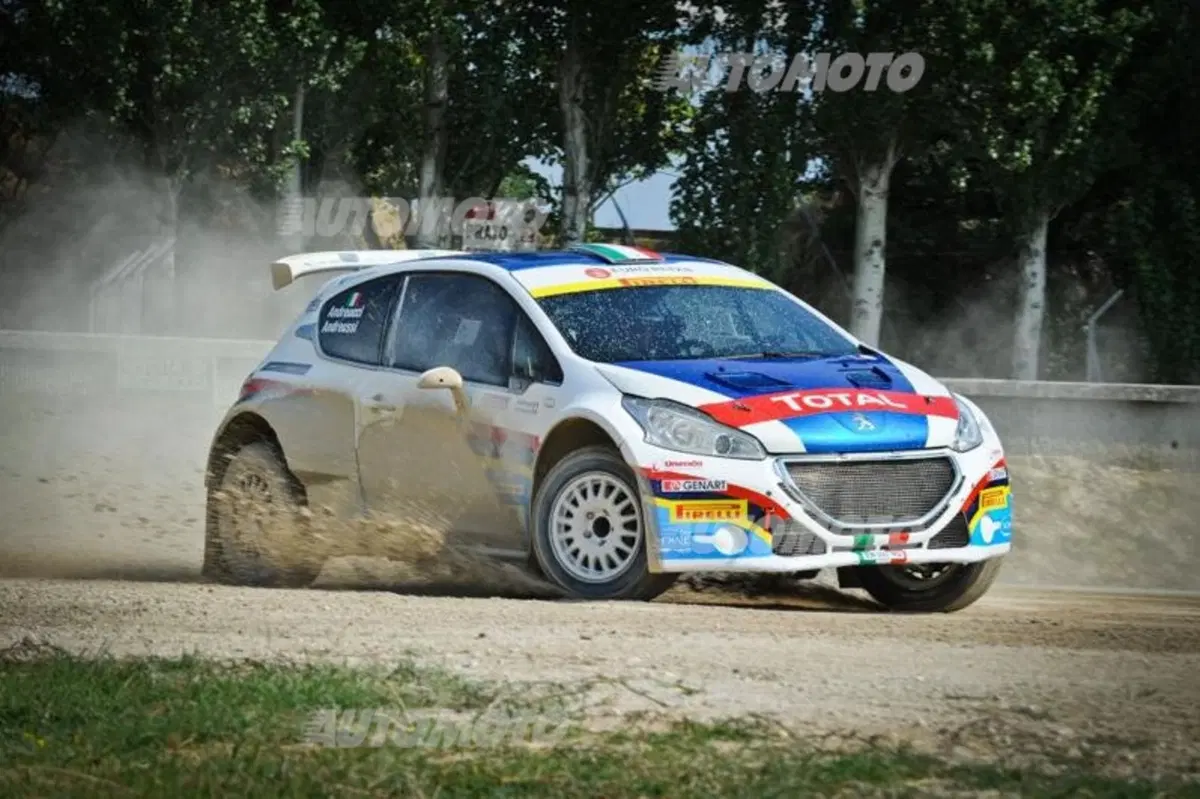 Peugeot 208 R5 ed R2 (118)