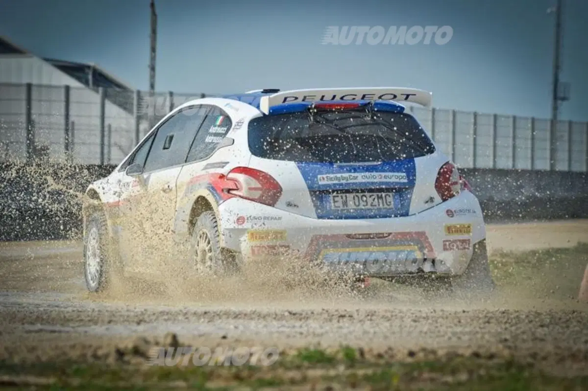 Peugeot 208 R5 ed R2 (119)