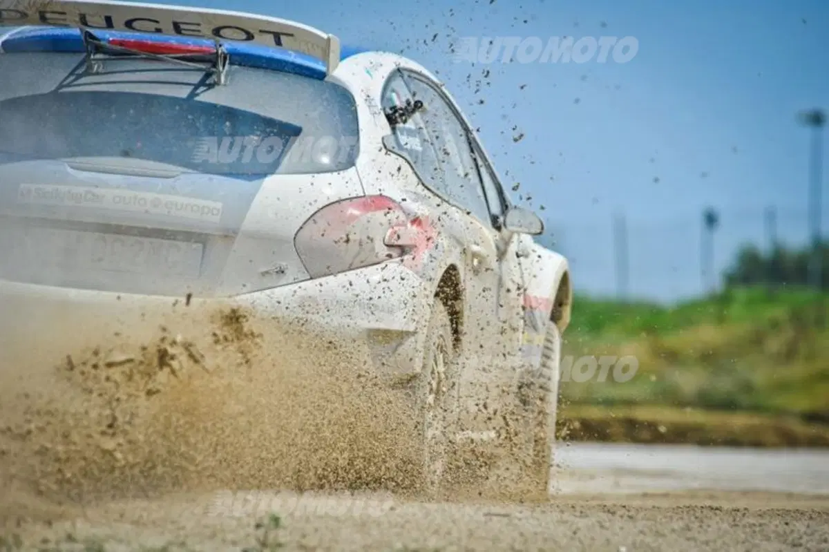 Peugeot 208 R5 ed R2 (122)