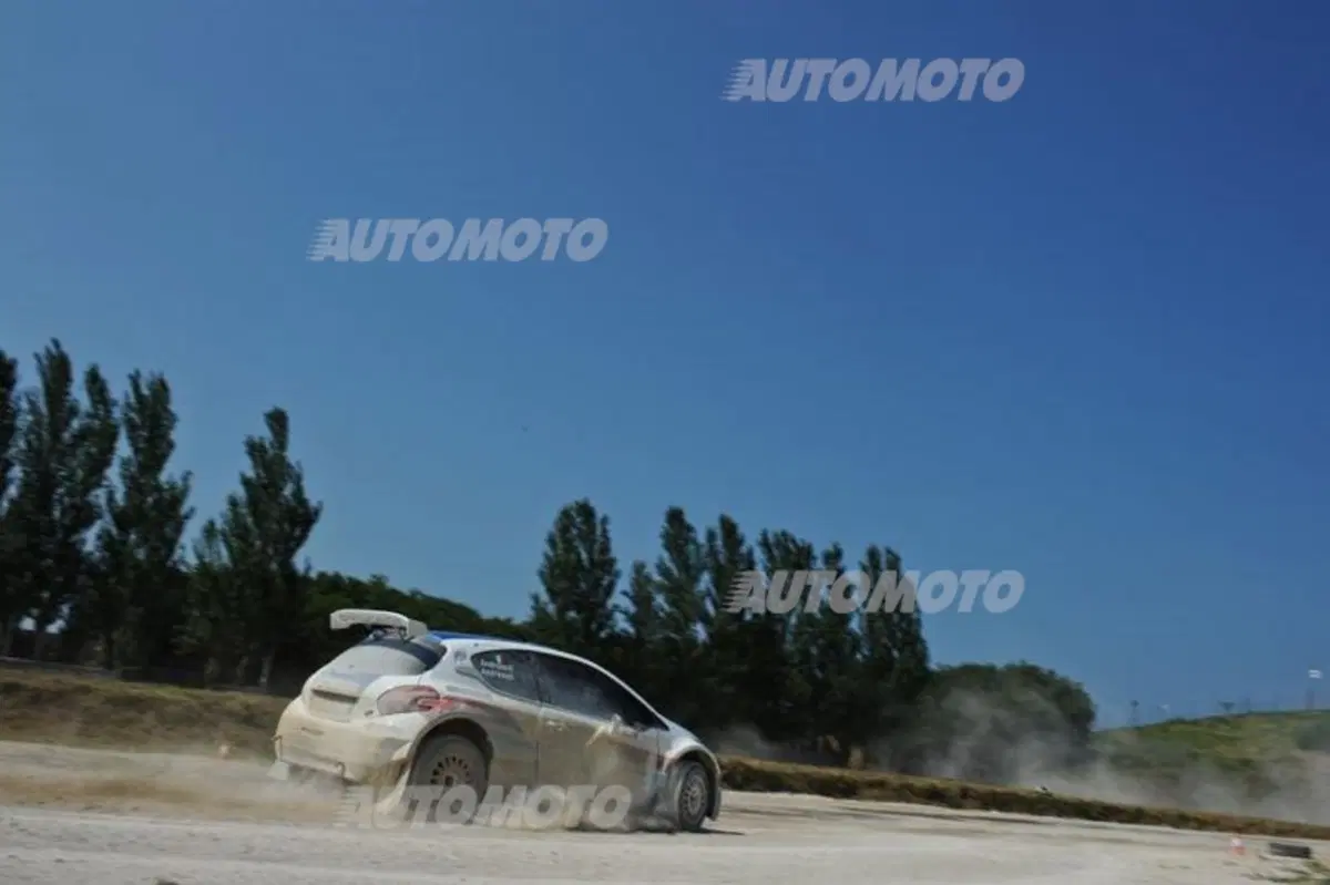 Peugeot 208 R5 ed R2 (126)