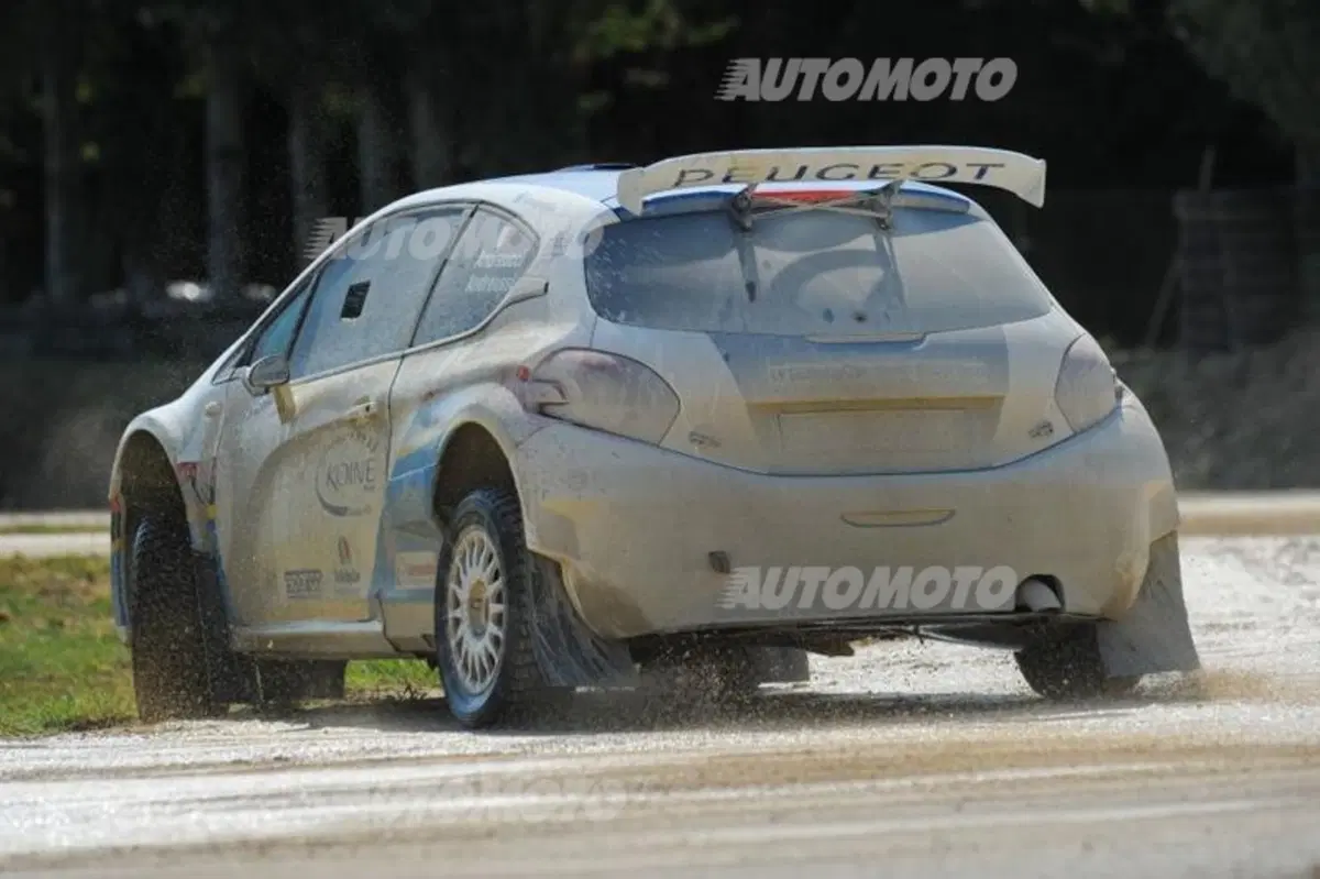 Peugeot 208 R5 ed R2 (131)
