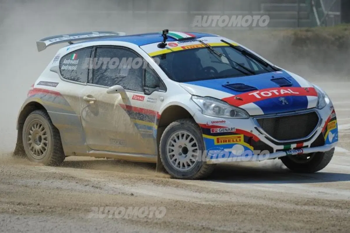 Peugeot 208 R5 ed R2 (132)