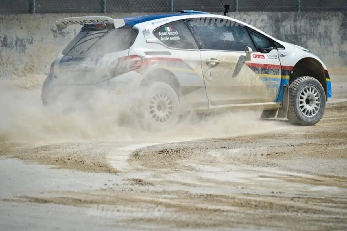 Peugeot 208 R5 ed R2 (133)