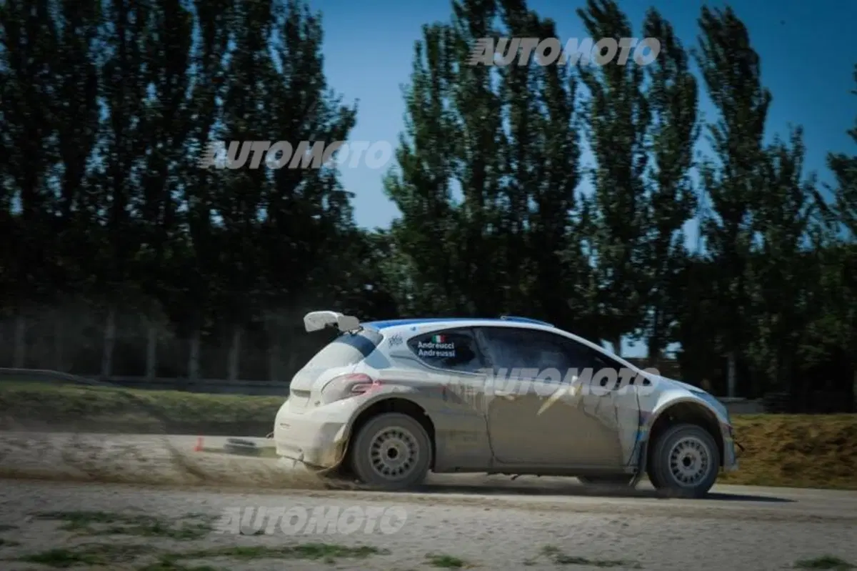 Peugeot 208 R5 ed R2 (134)