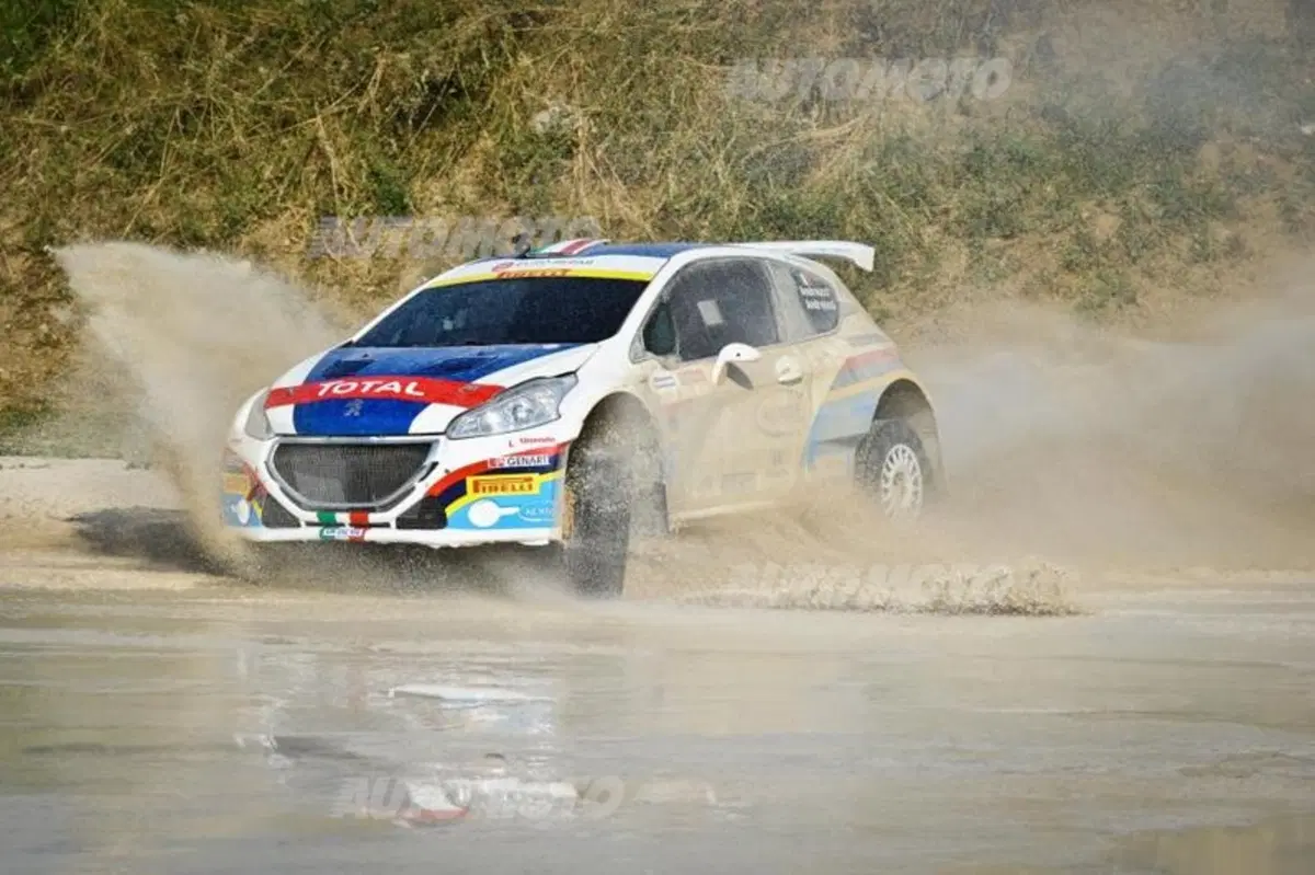 Peugeot 208 R5 ed R2 (137)