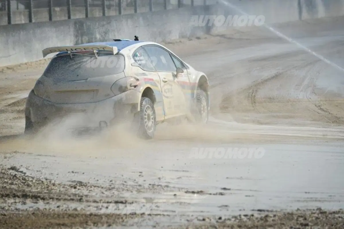 Peugeot 208 R5 ed R2 (138)