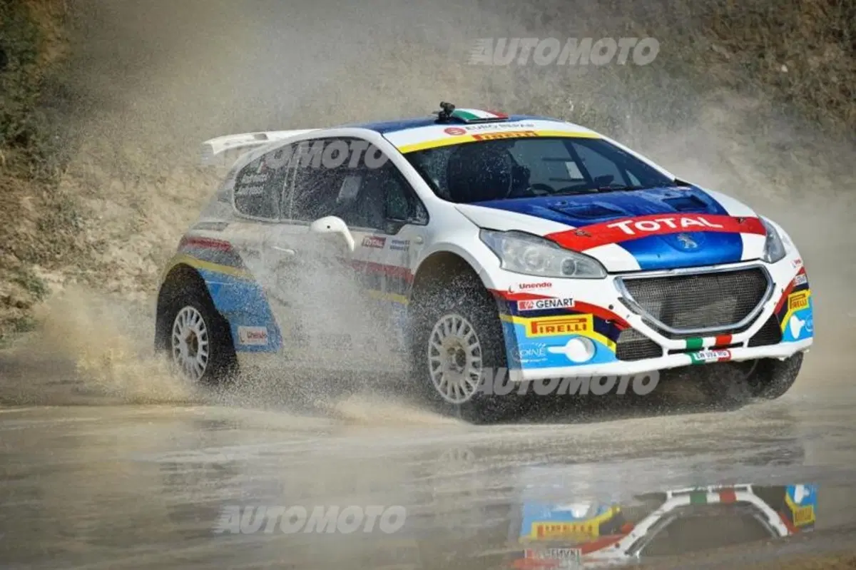 Peugeot 208 R5 ed R2 (139)