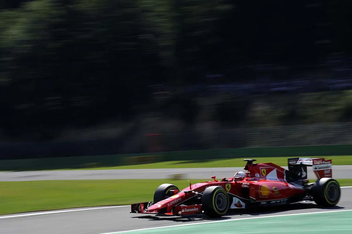 F1, GP Belgio 2015: Hamilton, che pole! In ombra le Ferrari (9)