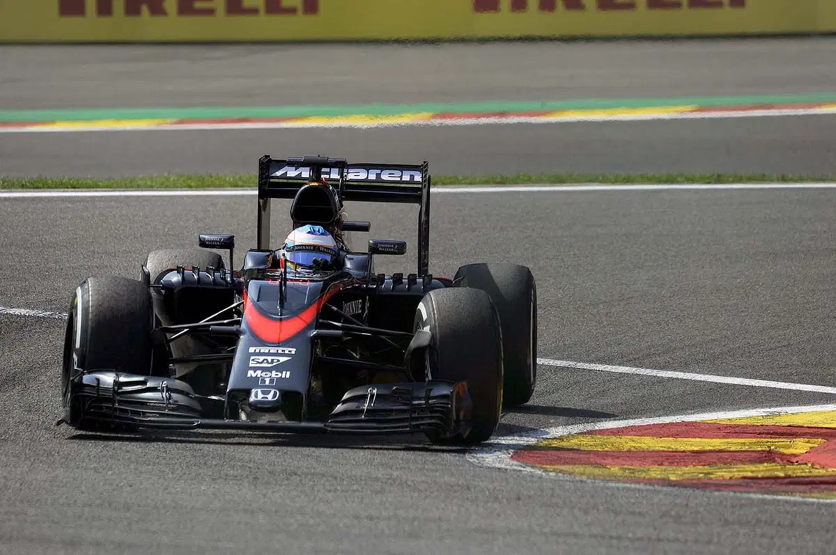 F1, GP Belgio 2015: Hamilton, che pole! In ombra le Ferrari (29)