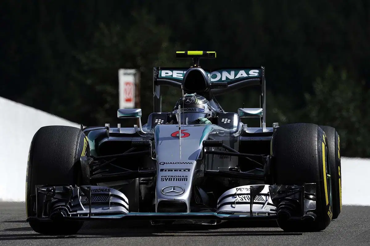 F1, GP Belgio 2015: Hamilton, che pole! In ombra le Ferrari (35)