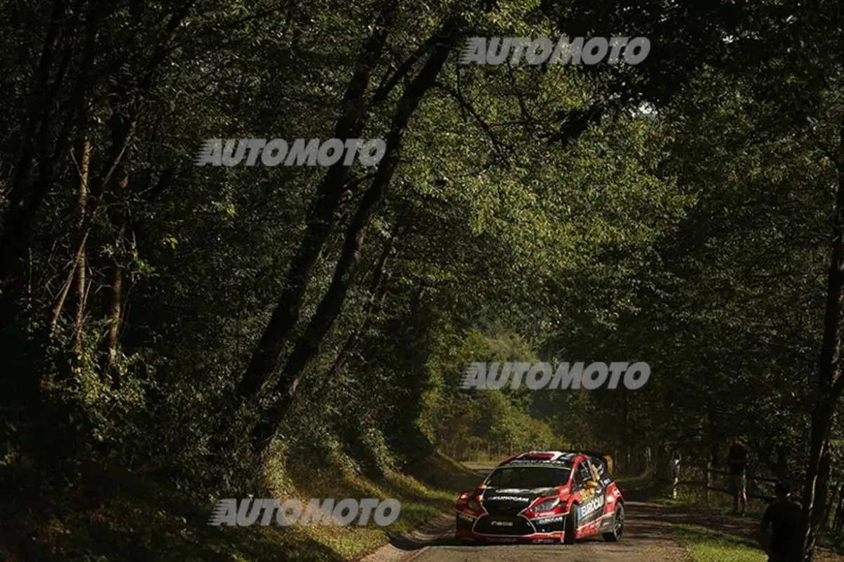 WRC Germania 2015: le foto più emozionanti (9)