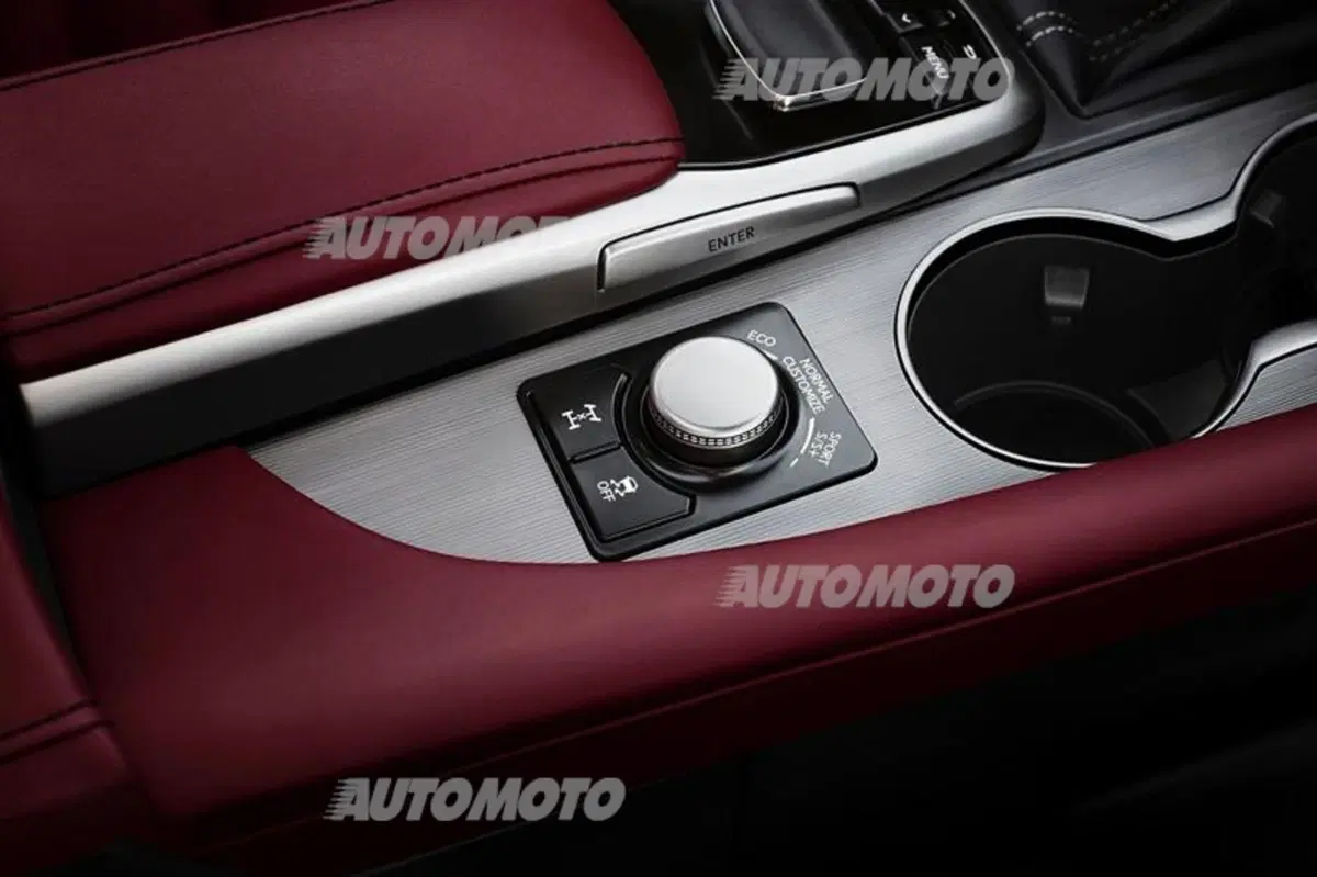 Lexus al Salone di Francoforte 2015 (10)