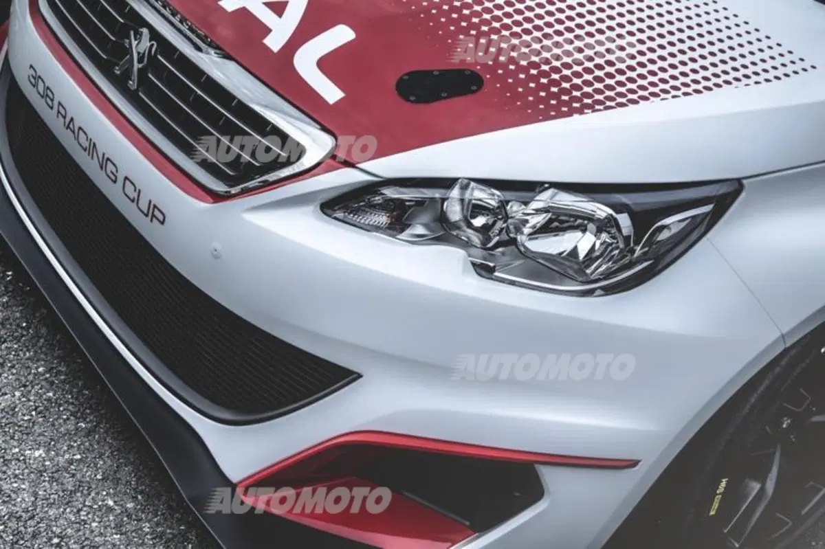 Peugeot 308 Racing Cup, il Leone che va di corsa (14)