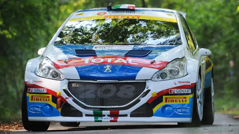 CIR 2015. Friuli Day 1: Andreucci-Andreussi (Peugeot), naturalmente!