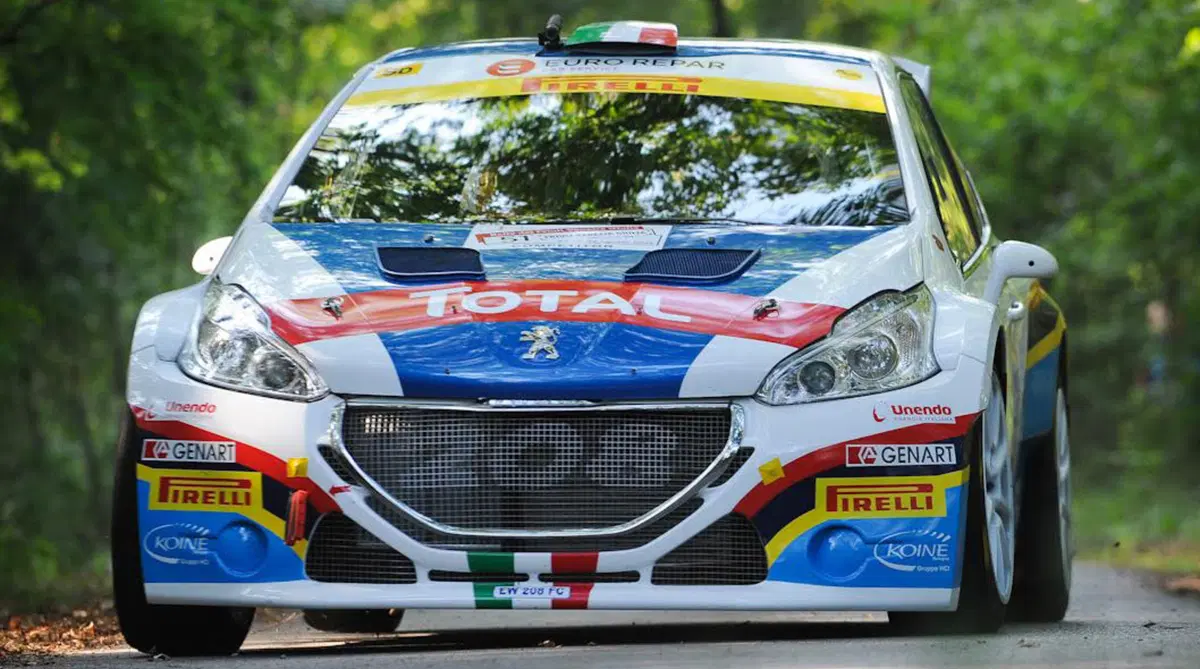 CIR 2015. Andreucci-Nove. Stagione trionfale! (8)