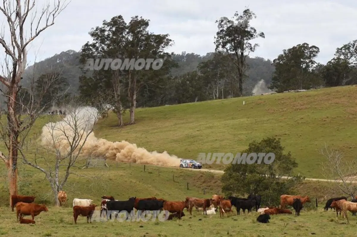 WRC Australia. Ogier, Ingrassia e VW Campioni del Mondo per la terza volta (33)